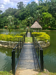 bridge over the river