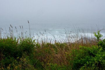 Coastal landscapes in New England by Constantine