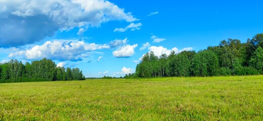 green field and blue sky