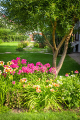 A beautiful flower bed in the backyard of a private house.