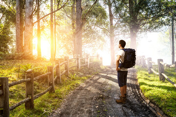 Young traveler exploring the world concept