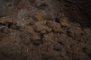 Indian plant pot soil texture 
