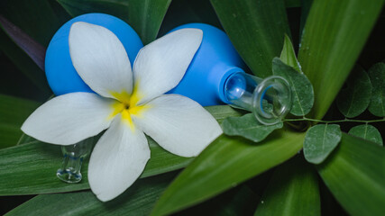 Vacuum jars close up on the background of tropical leaves and white flower