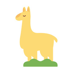 alpaca exotic animal flat style icon