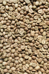  Close up of coffee beans for background                                