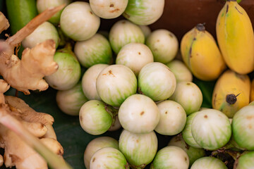 Many eggplant for sale