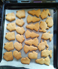 Closeup of Christmas cookies on baking sheet in the oven
