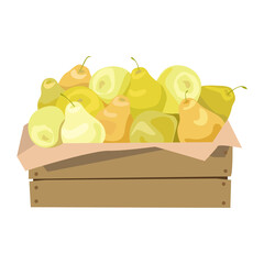 Pears in a wooden box. Vector illustration. Isolated on white background.