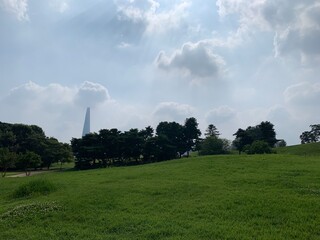 Jamsil tower in the park, Seoul city view