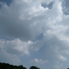 clouds over the forest