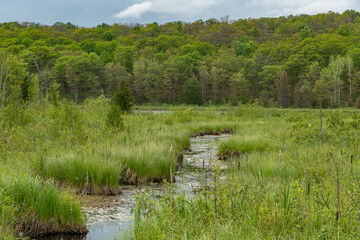 Rural Ontario creek river lake landscape