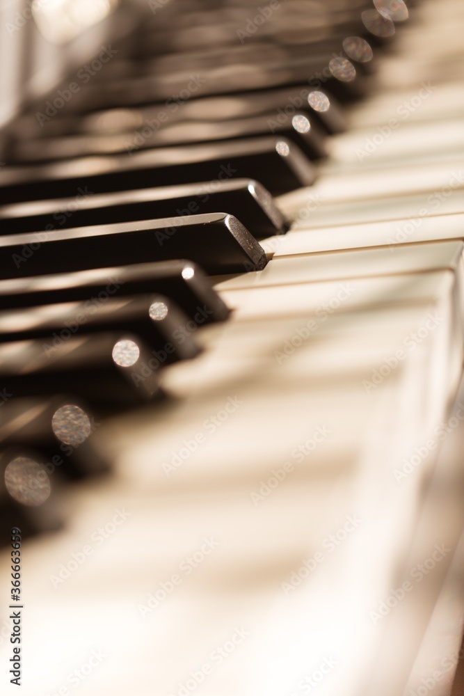 Wall mural piano keys - close up