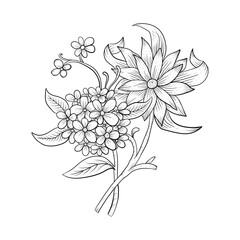 autumn hand drawn flower vector illustration