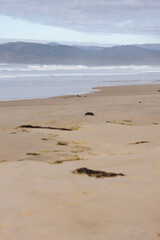 pristine untouched Australian beach in Marion Bay in Tasmania with no people