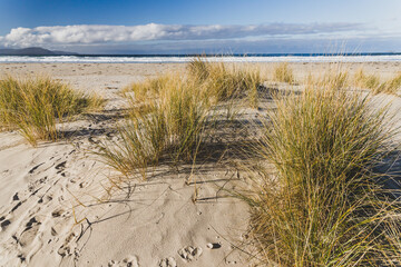 pristine untouched Australian beach in Marion Bay in Tasmania with no people