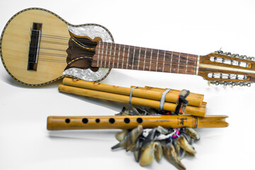 Instrumentos de latino america © Maxi