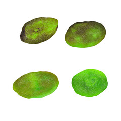 Set of green blue watercolor spots isolated on white background. Hand drawn. Paint and brush. For card, text, logo, tag