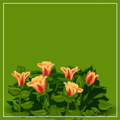 Floral card with green background

Yeşil arka plana sahip çiçek kartı
