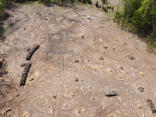 A place of felling of trees, aerial view. Logging site.