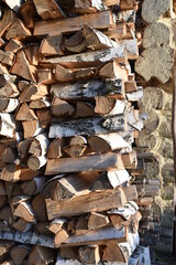 Wood burning stove. Firewood for furnace heating. Warehouse for firewood for stove