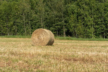 haystack in a field in summer