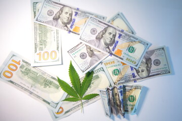 cannabis drug business in america. dollars and marijuana