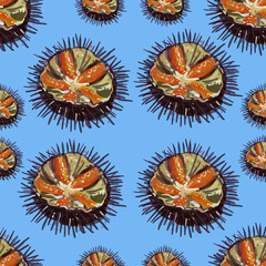 sea urchins