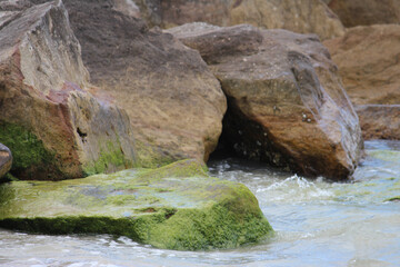 Sandstone rocks with moss on the beach (algae). Silver Beach Sydney