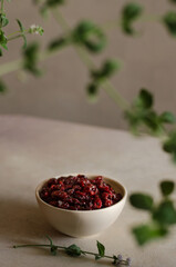 Pretty small bowl with bright red dried cranberries in the kitchen with mint leaves decoration. Tasty and healthy vegetarian food 