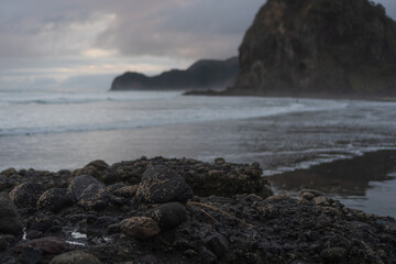 Obraz premium Coastal view at Piha (New Zealand)