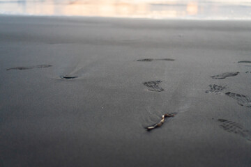 Footprints and debris in the sand