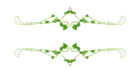 Green leaves nature frame border of devil's ivy or golden pothos the tropical foliage plant on white background