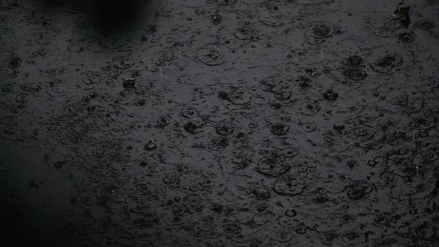 A strong storm outside. Top view of a shower with hail. Raindrops make circles in a huge puddle behind the branches of trees, a dark and gloomy landscape. Slow motion 200 FPS 
