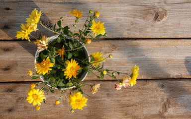 Bouquet of yellow chrysanthemums top view on a wooden background. Beautiful large flowers in the sunlight. Horizontal layout for a postcard. Bright yellow flowers in soft focus. Autumn composition.