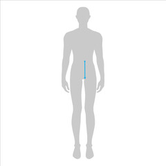 Men to do waist to hip measurement fashion Illustration for size chart. 7.5 head size boy for site or online shop. Human body infographic template for clothes. 