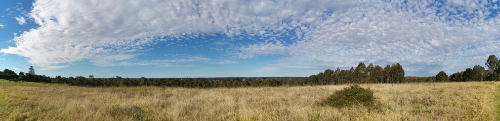 Beautiful panoramic view of a park with wild grass, tall trees in the background and a deep blue puffy sky, Rouse Hill Regional Park, Rouse Hill, New South Wales, Australia