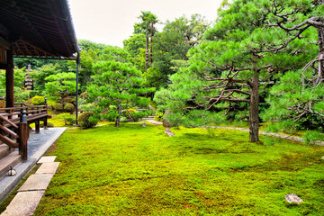 京都、建仁寺両足院の庭園
