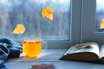 Hot warming healthy drink with sea buckthorn berries. Glass cup with berry tea on the windowsill on an autumn sunny day. Copy space.