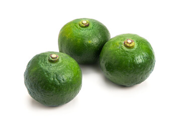 シークァーサー