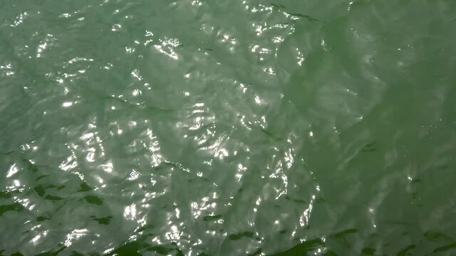 Green ocean waves Rippled water with suns reflection