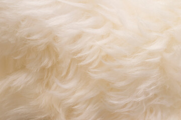 sheep wool skin texture