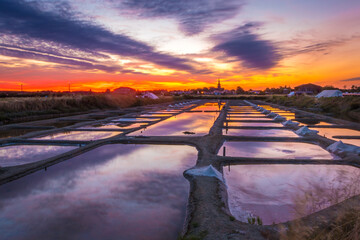 Panoramic view of the salt marshland at sunrise, Olonne area, Vendee, France