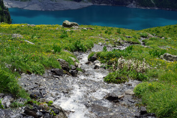 Torrents des montagnes