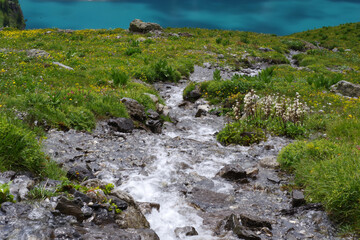 Torrents des montagnes