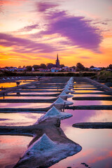 Panoramic view of the salt marshland at sunrise, Olonne area, Vendee, France
