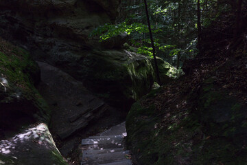 Säsische Schweiz, Elbsandsteingebirge