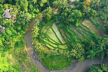 Beautiful view of Sayan Terraces, Ubud, Bali.