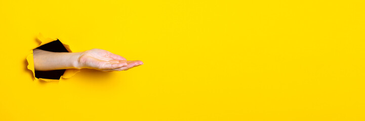 Opened male hand, palm up on a yellow background. Sign language. Banner.