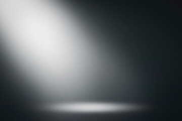On a black background, the spotlight shines down. Light source, artificial light.