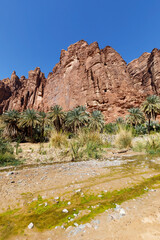 Wadi Disah, also known as Wadi Qaraqir, is a 15 kilometer long canyon running through the Jebel Qaraqir, a sandstone massif lying about 80 kilometers south of the city of Tabuk in Saudi Arabia